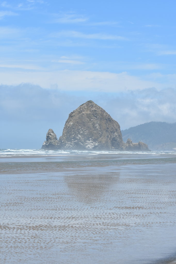 DSC_0010.jpg