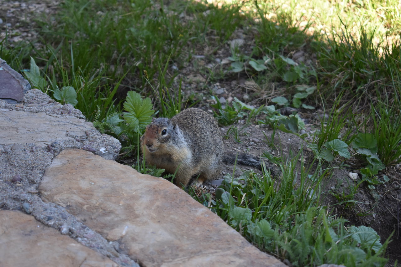 DSC_0010.jpg