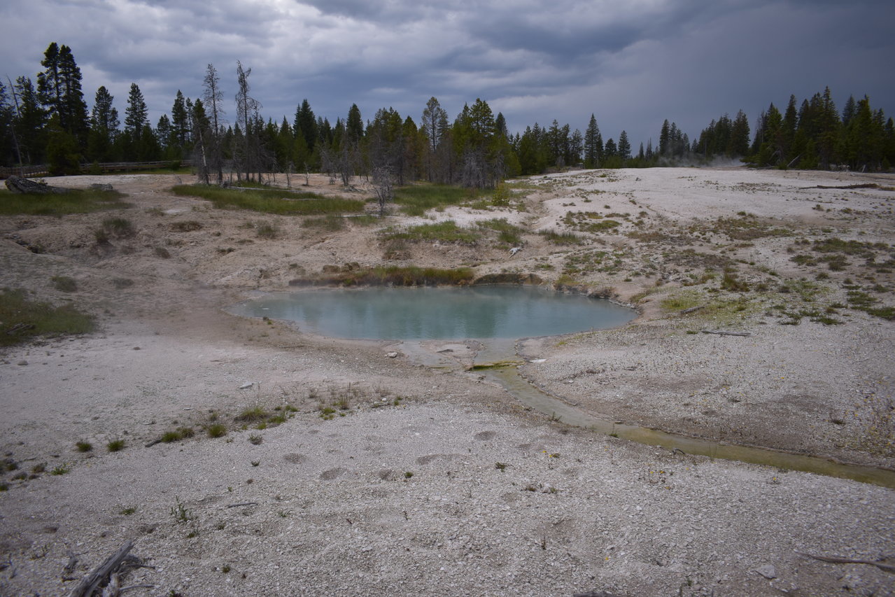 DSC_0010.jpg