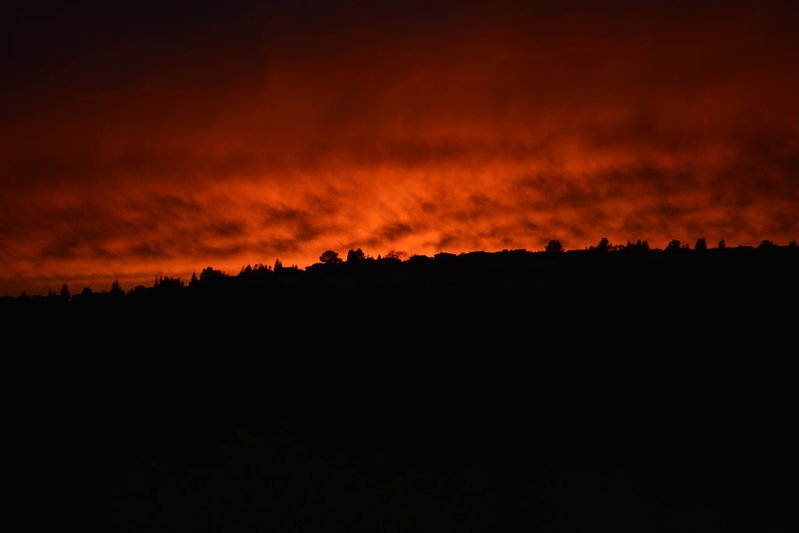 DSC_0010.jpg