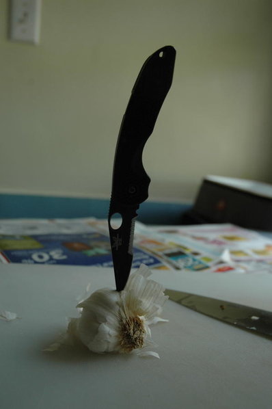 DSC_0010_2.jpg
