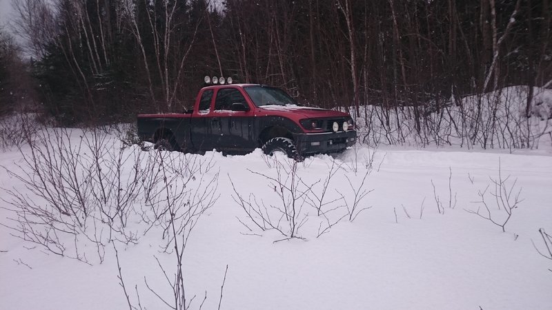 DSC_0011.jpg