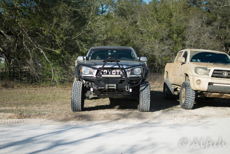 DSC_0011.jpg