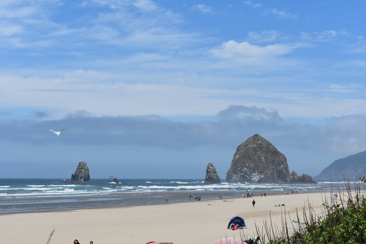 DSC_0011.jpg