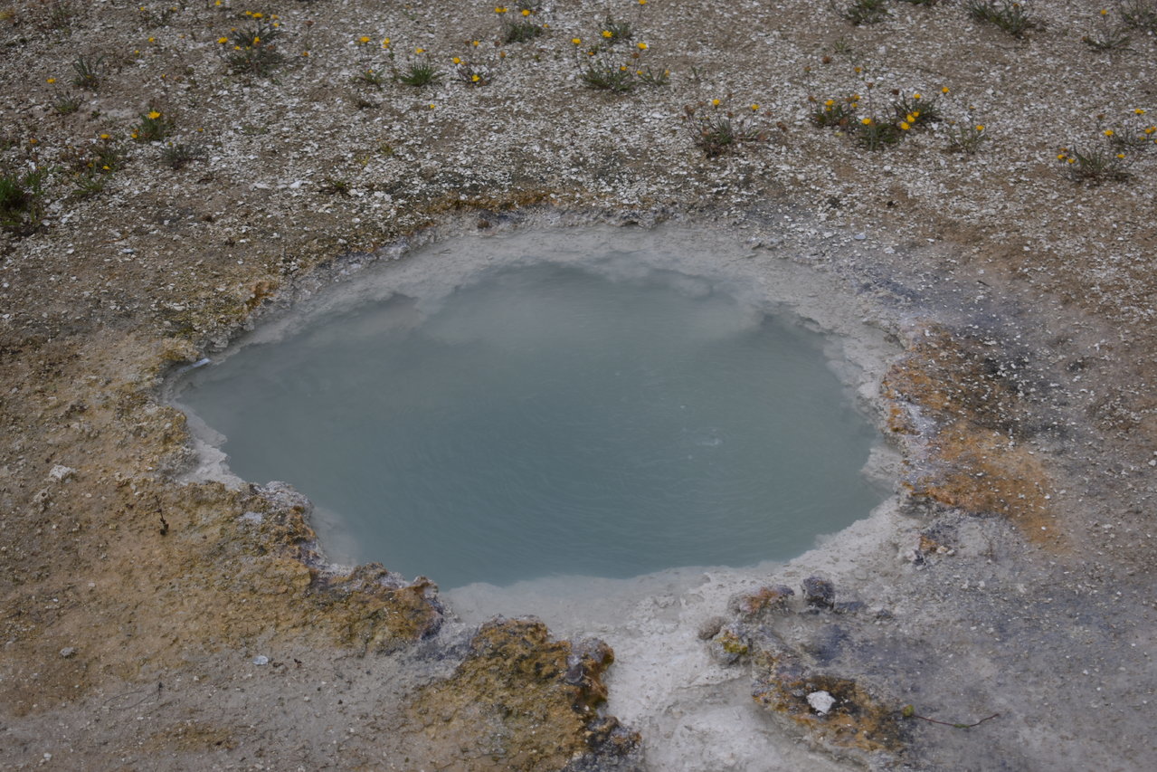 DSC_0011.jpg