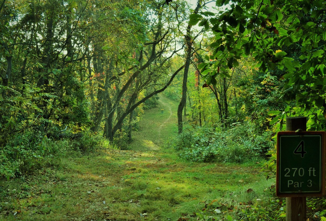 DSC_0012 (3).jpg