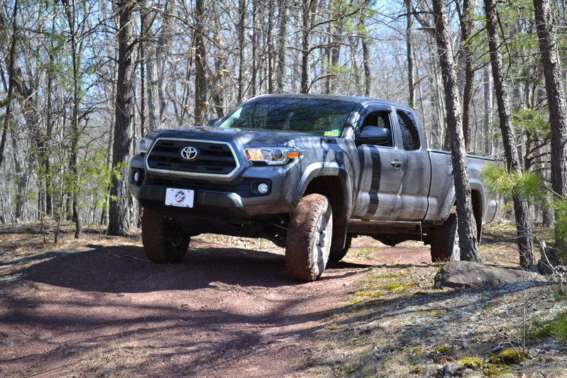 DSC_0012.jpg
