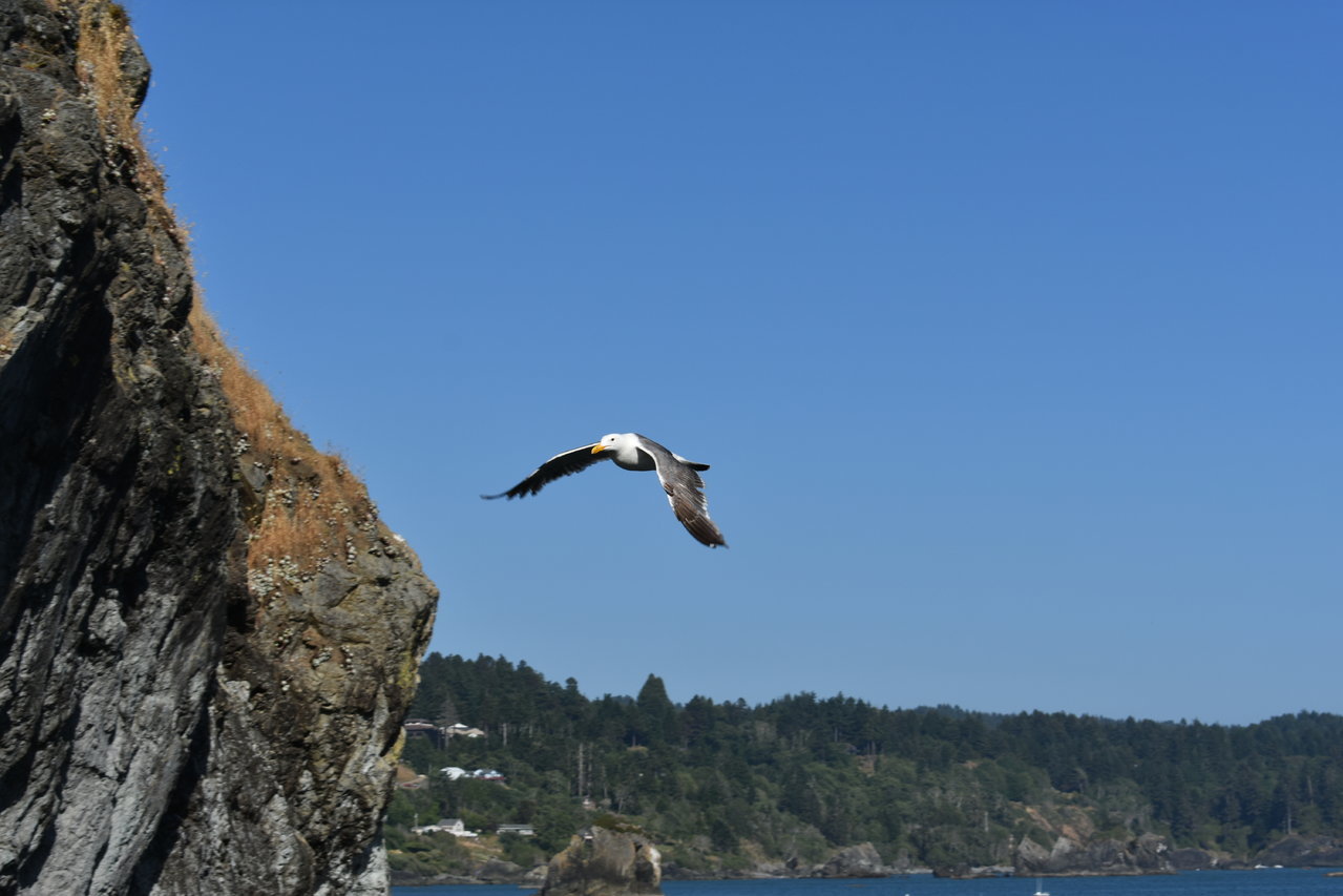 DSC_0012.jpg