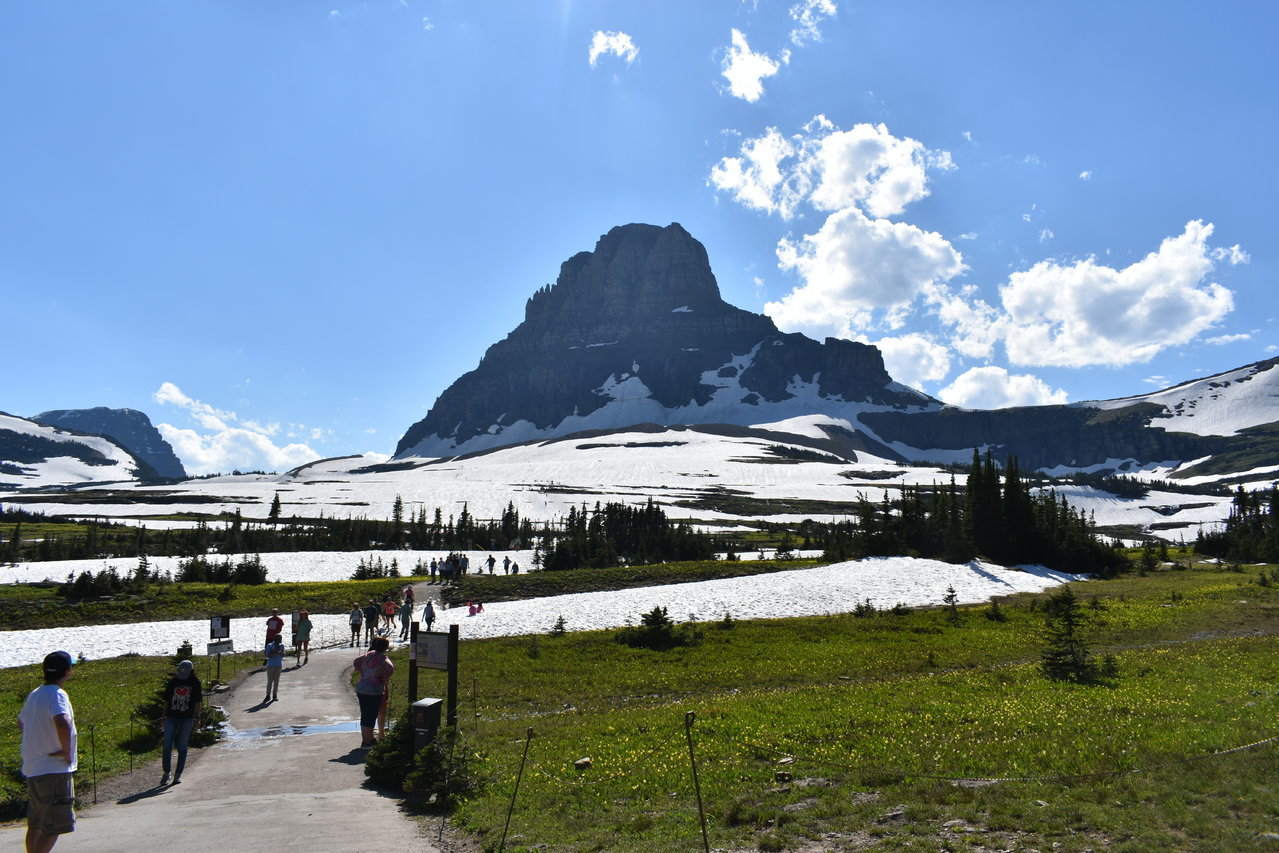 DSC_0012.jpg