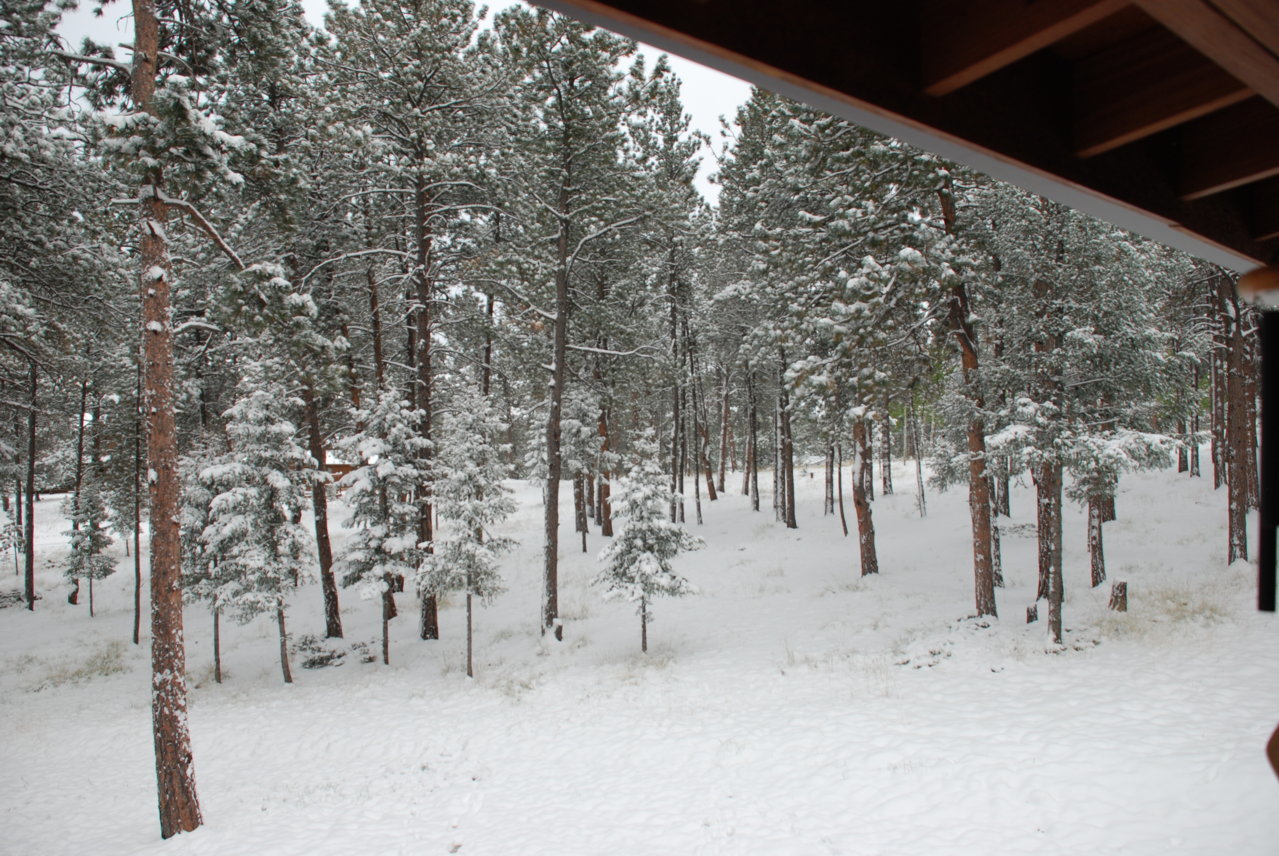DSC_0012.jpg