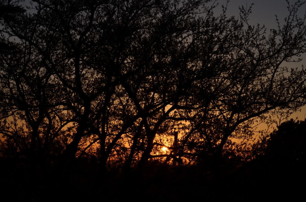 DSC_0012_edcad81b0e33c478894999e9d1831a5321e1bbbf.jpg
