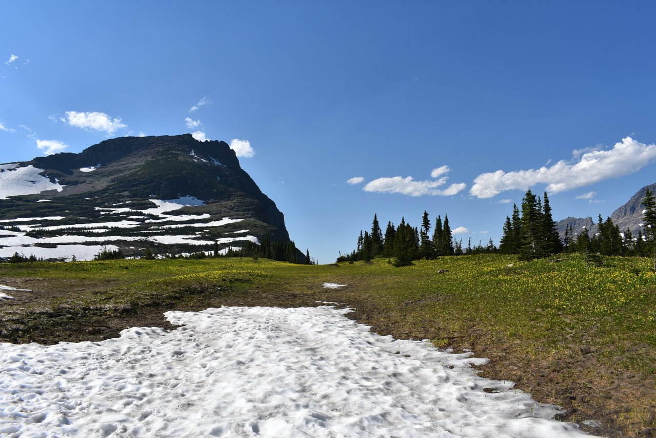 DSC_0013.jpg