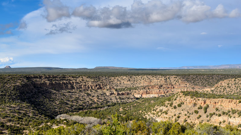DSC_0014.jpg