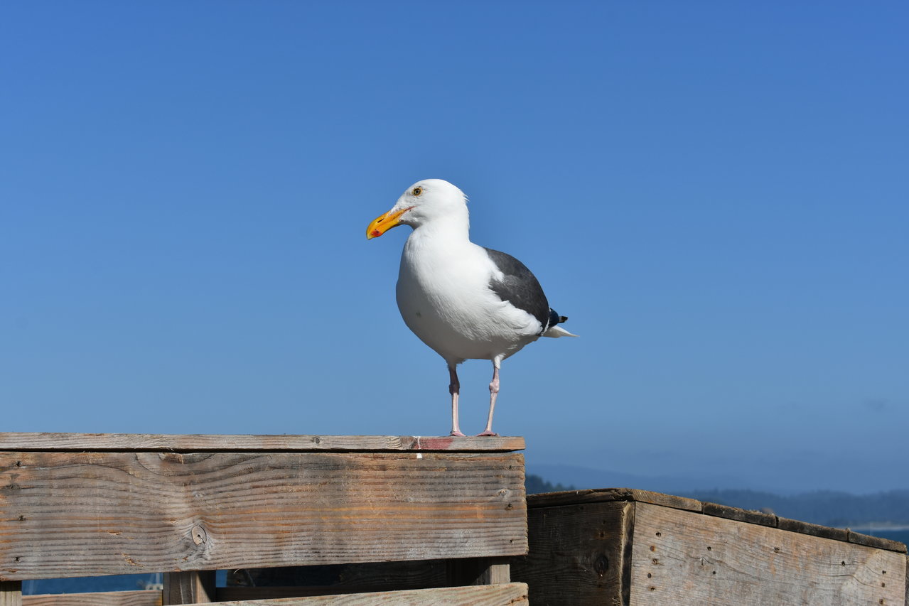 DSC_0014.jpg