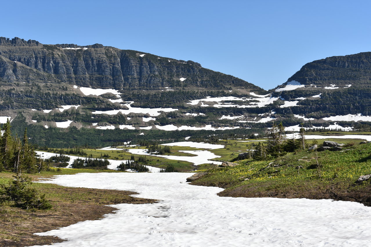DSC_0014.jpg
