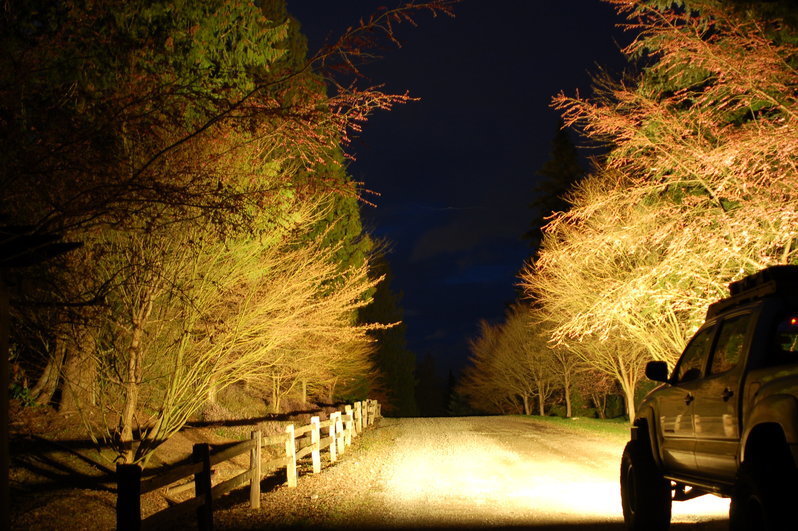 DSC_0014.jpg