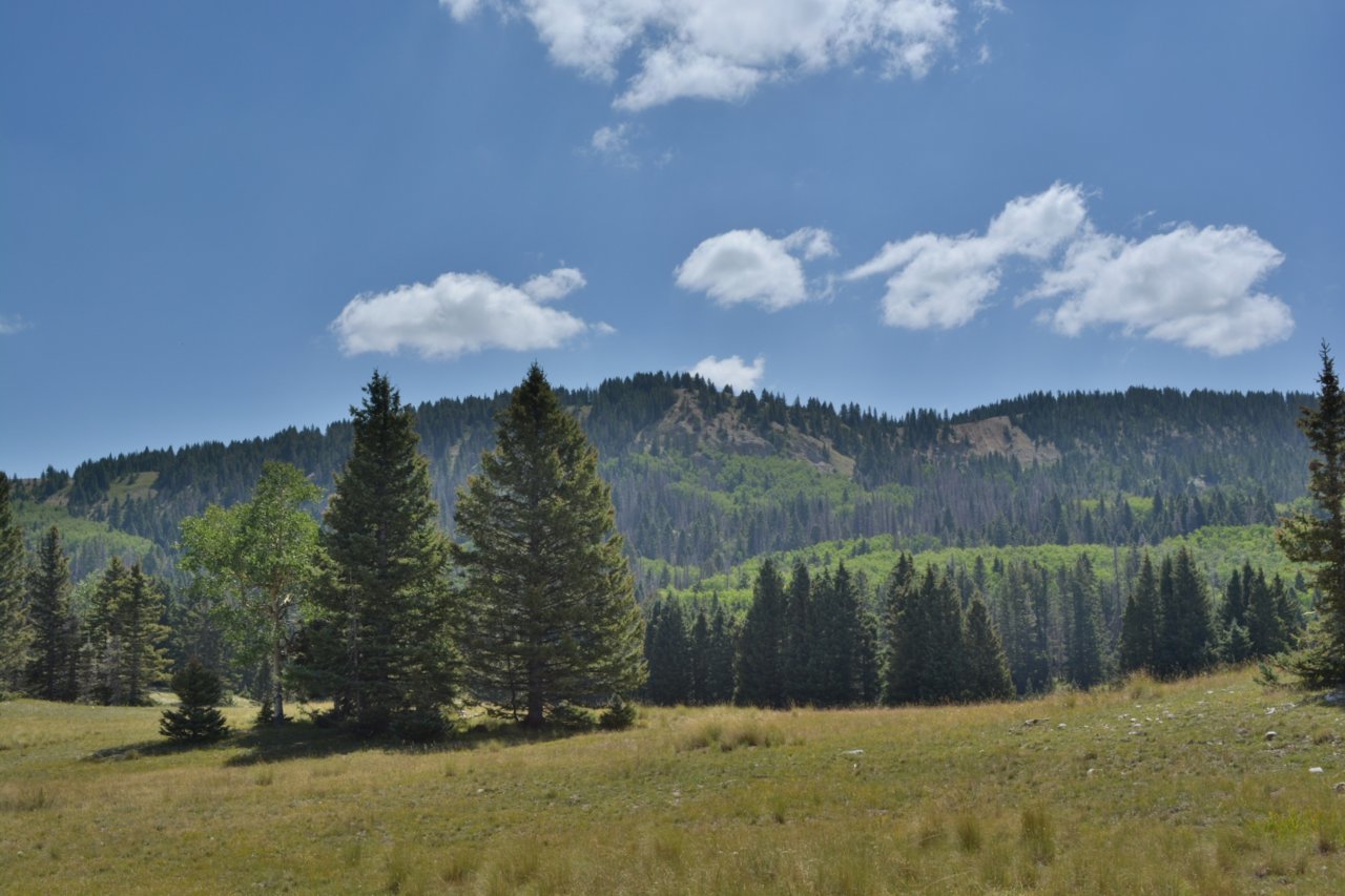 DSC_0014.jpg