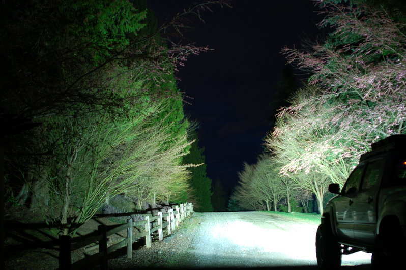 DSC_0015.jpg