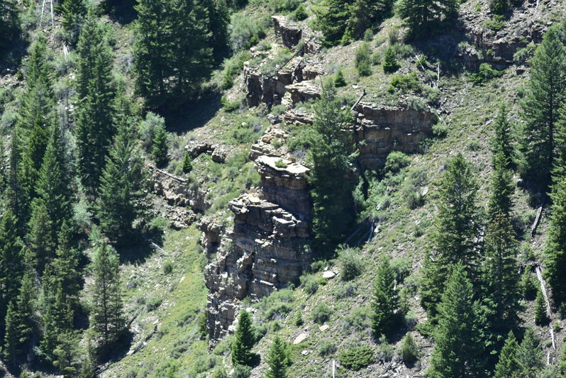 DSC_0015.jpg
