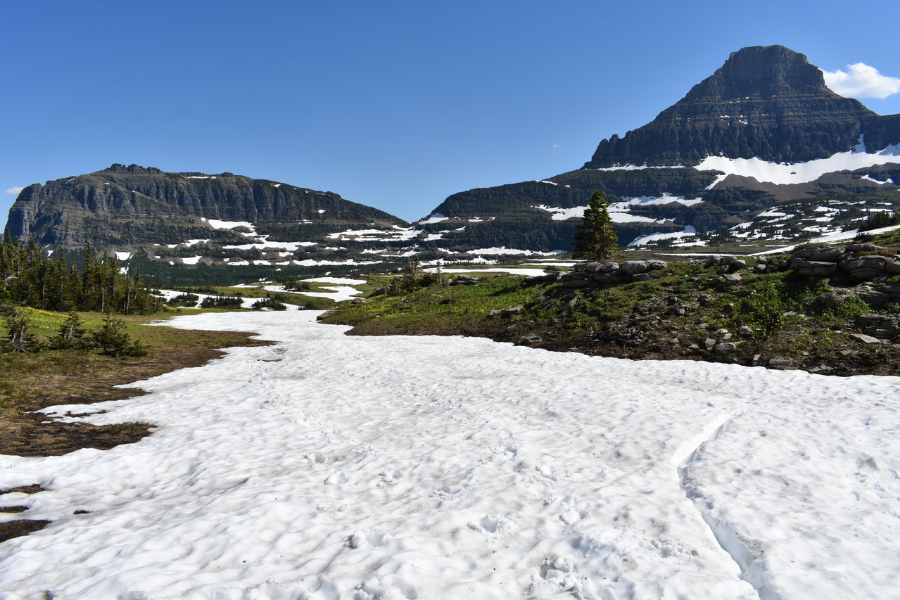 DSC_0015.jpg