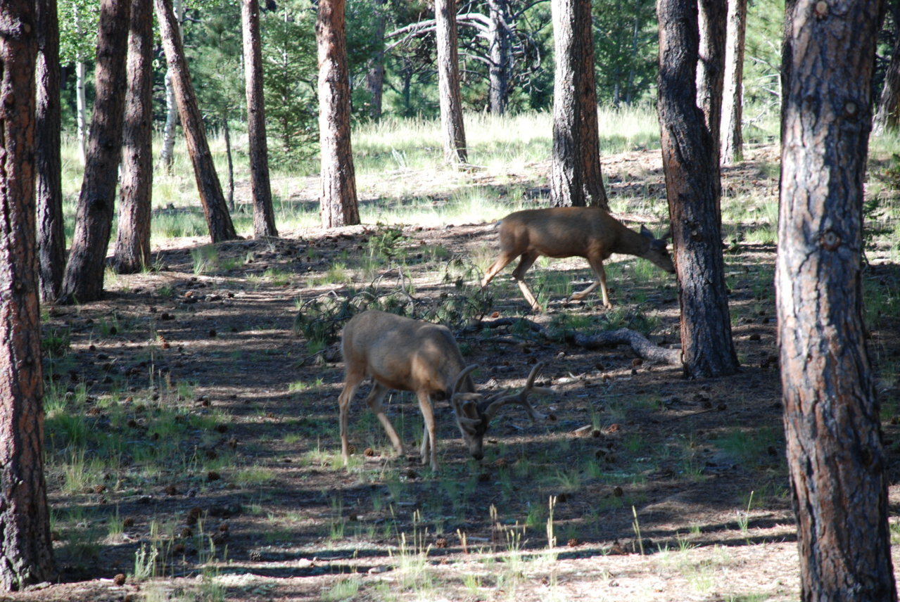 DSC_0015.jpg