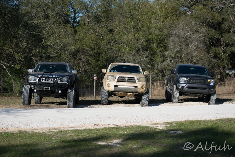 DSC_0016.jpg