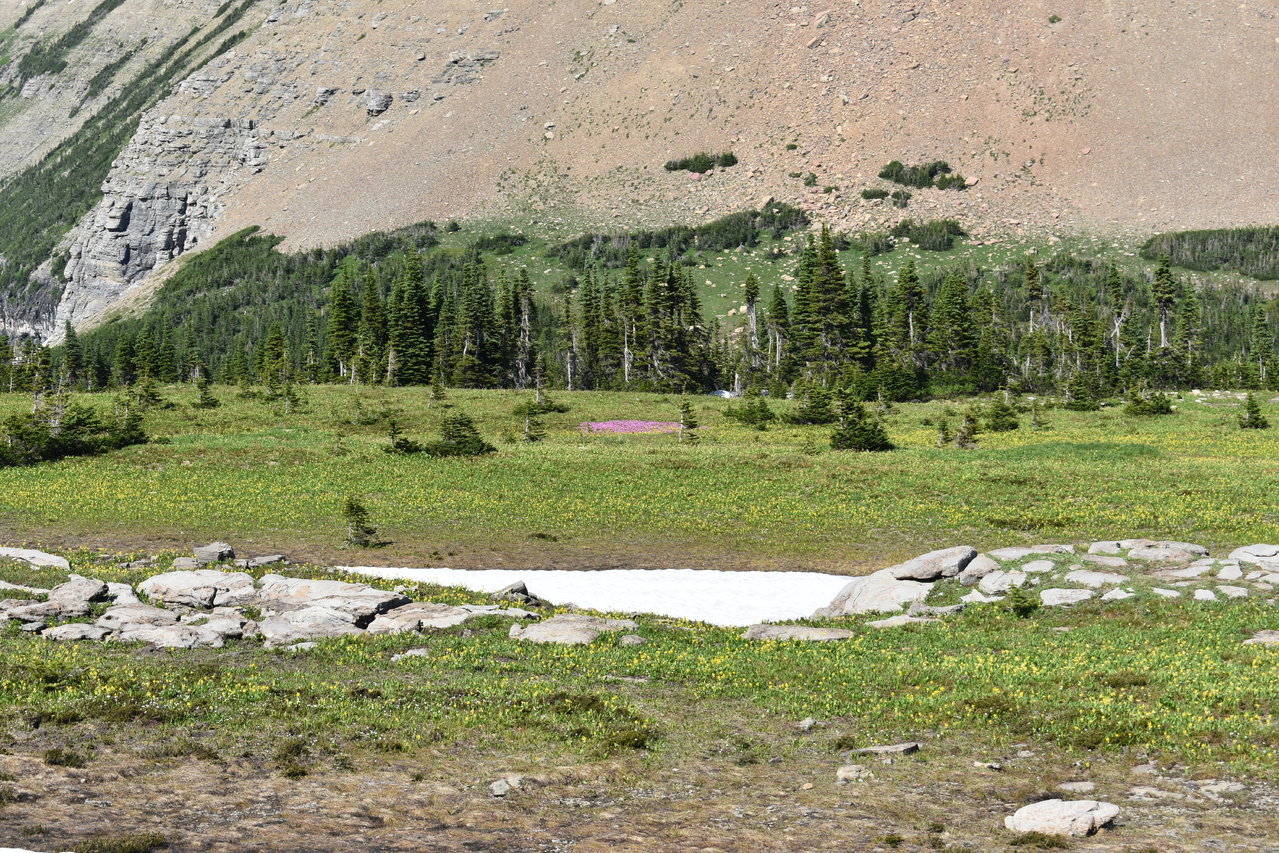 DSC_0016.jpg