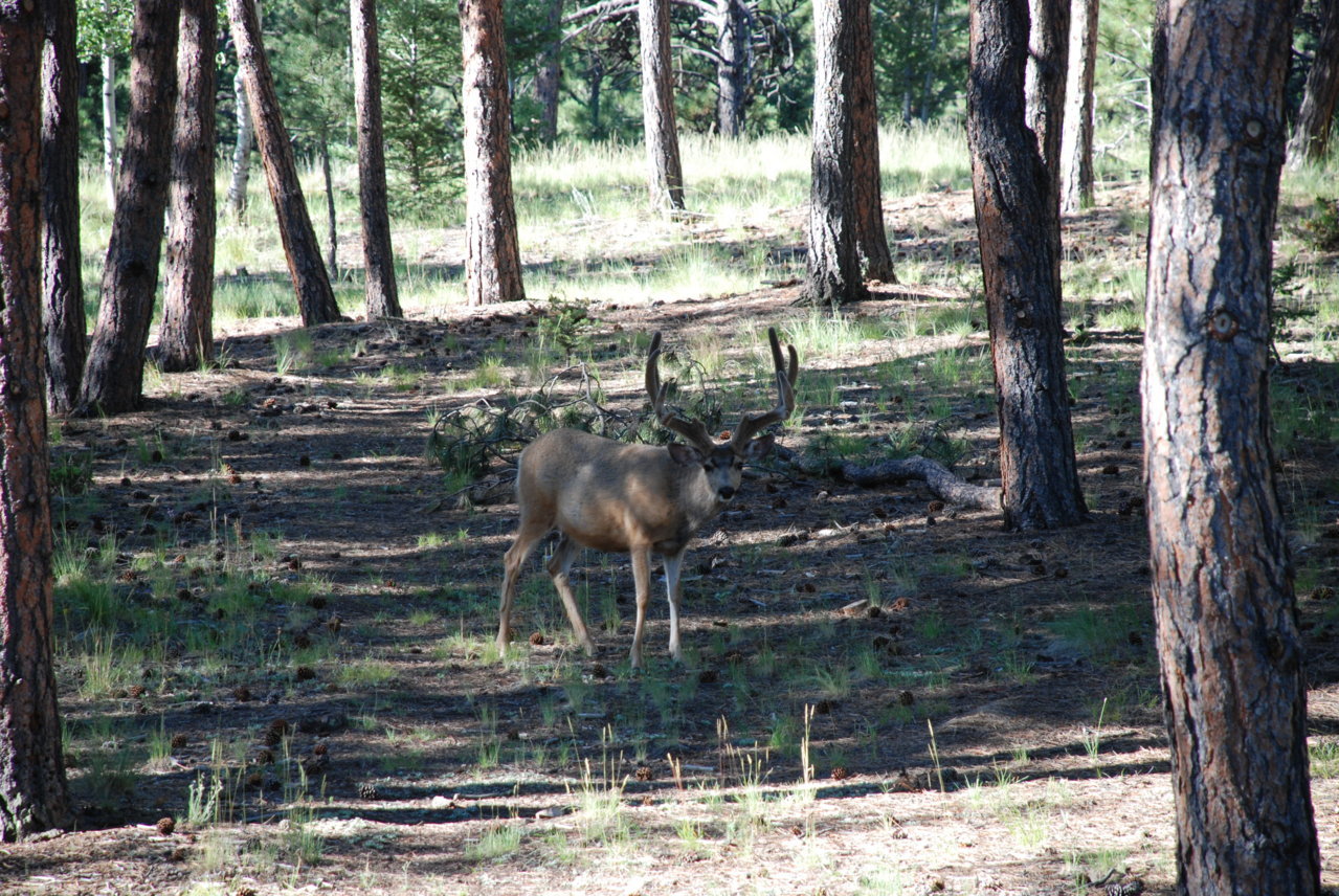 DSC_0016.jpg
