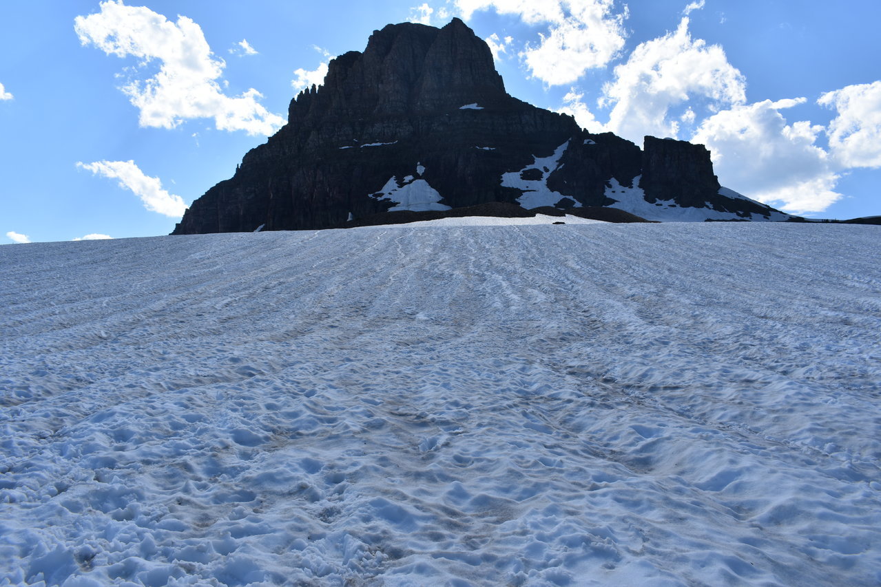 DSC_0017.jpg