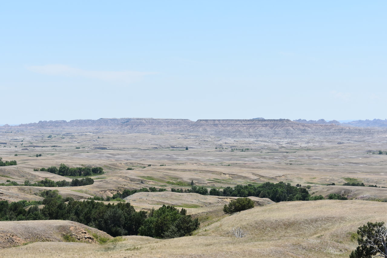 DSC_0017.jpg