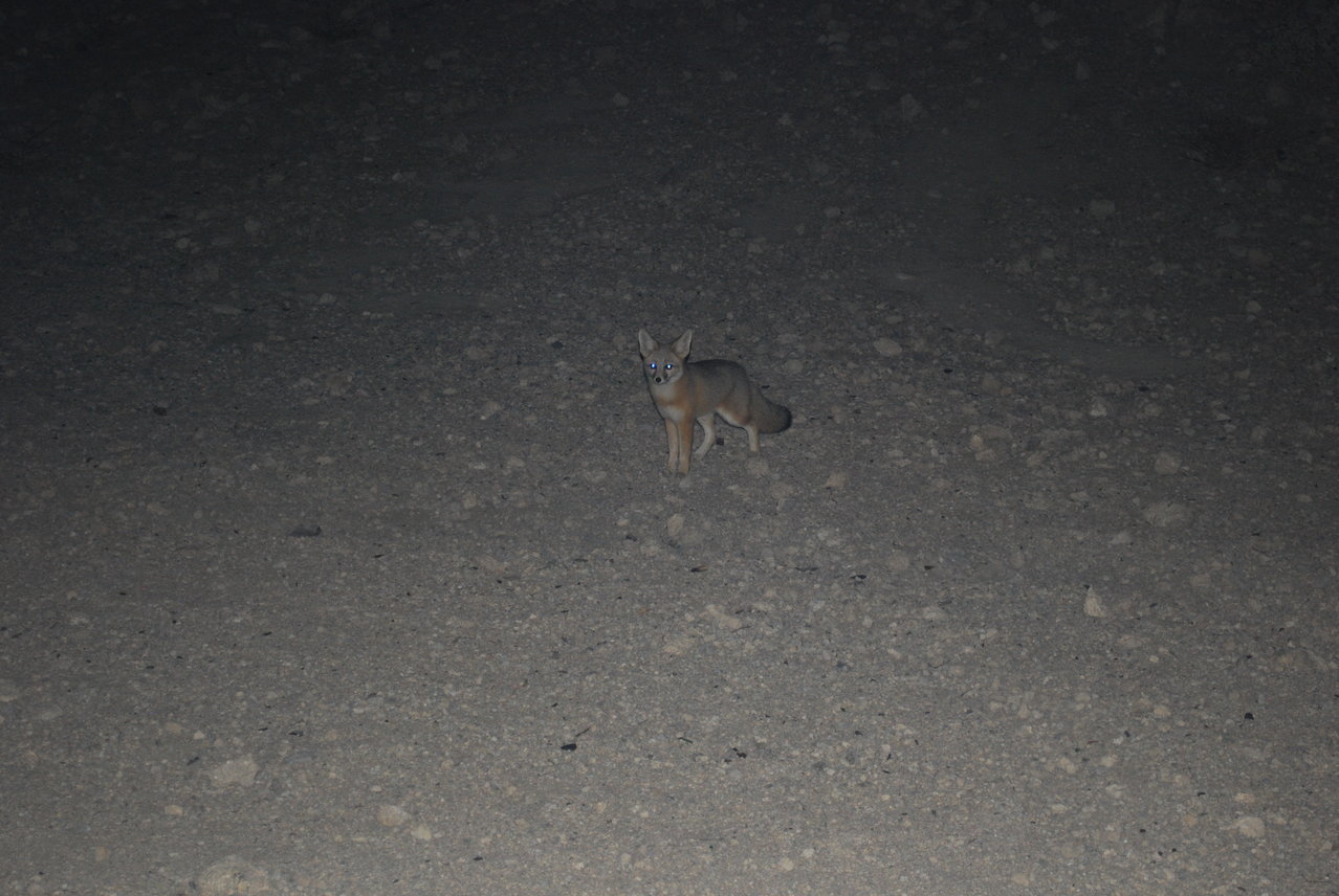 DSC_0017.jpg