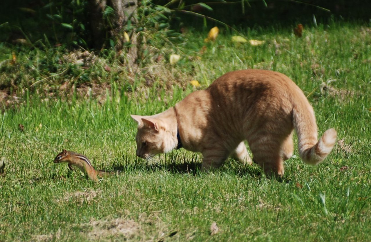 DSC_0017.jpg
