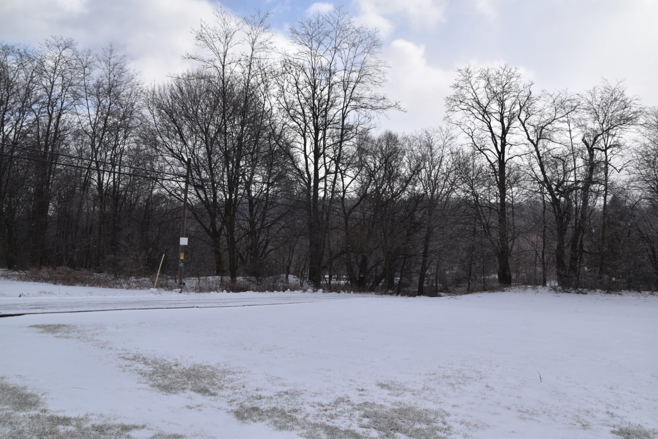 DSC_0017.jpg