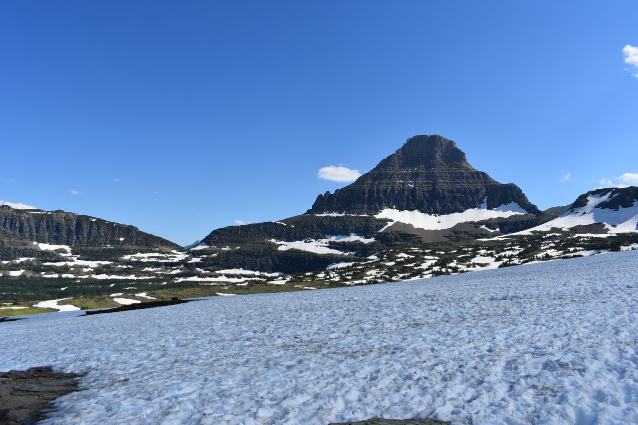 DSC_0018.jpg