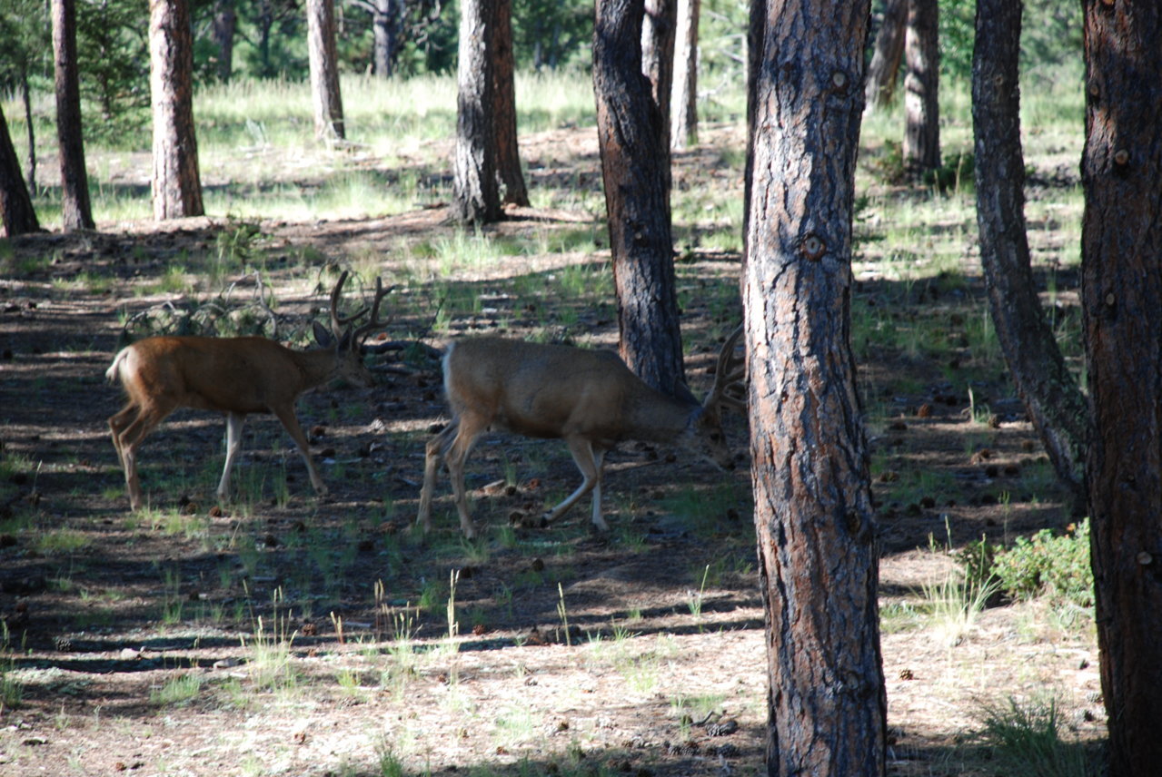 DSC_0018.jpg
