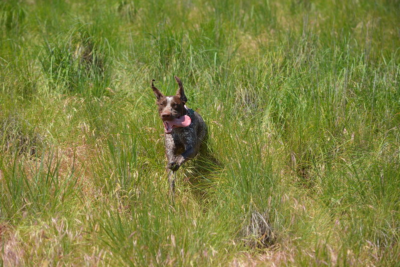 DSC_0018.jpg