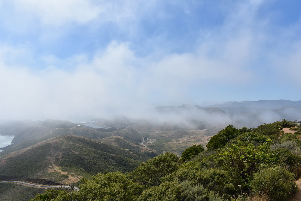 DSC_0019.jpg