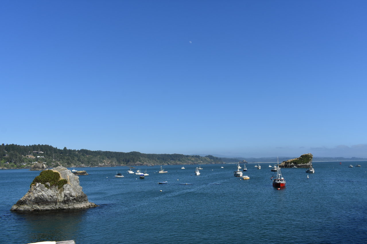 DSC_0019.jpg