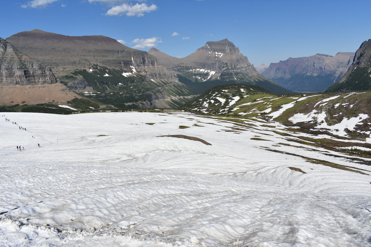 DSC_0019.jpg