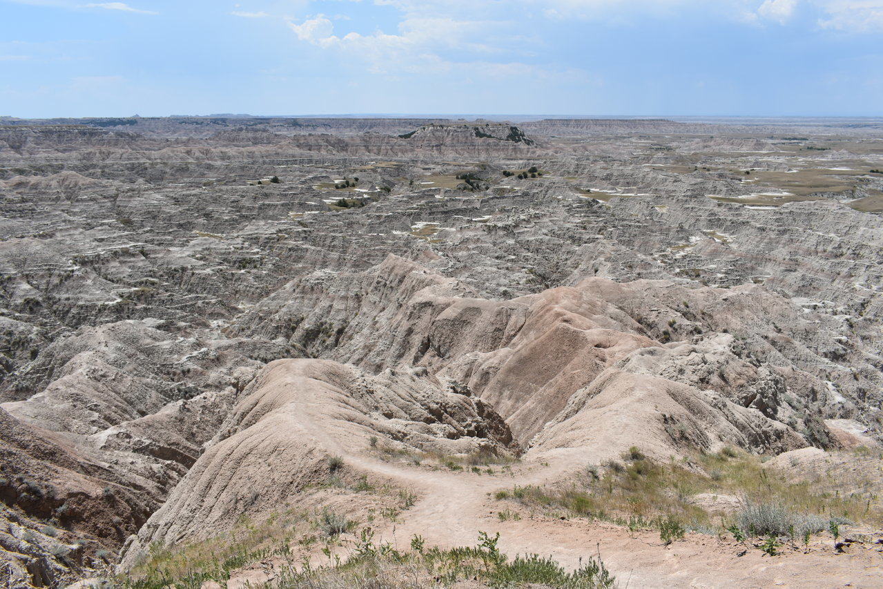 DSC_0019.jpg