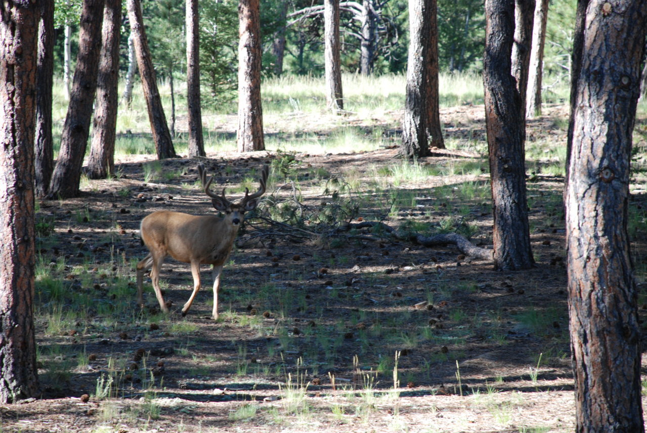 DSC_0019.jpg