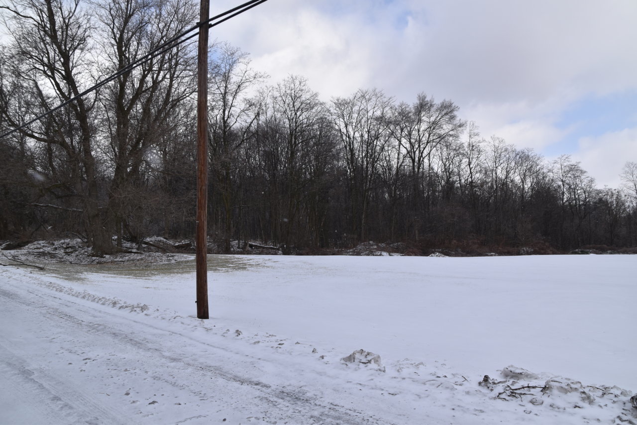 DSC_0019.jpg