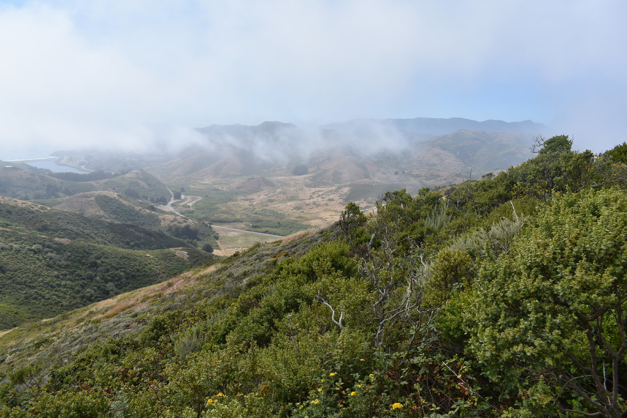 DSC_0020.jpg