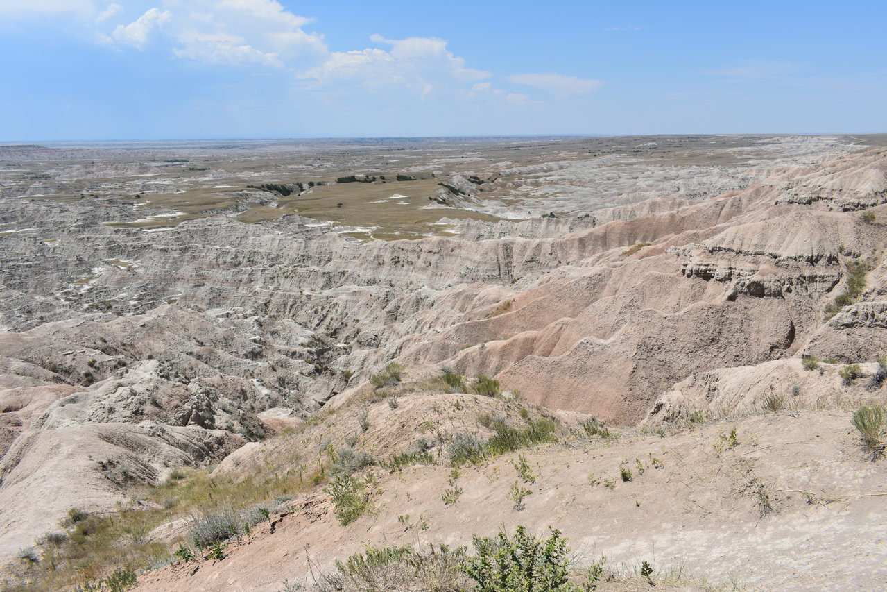 DSC_0020.jpg