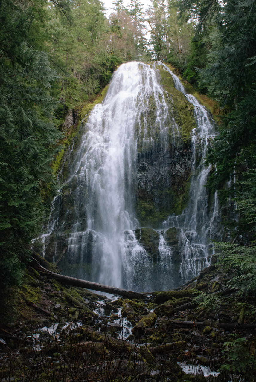 DSC_0020.jpg