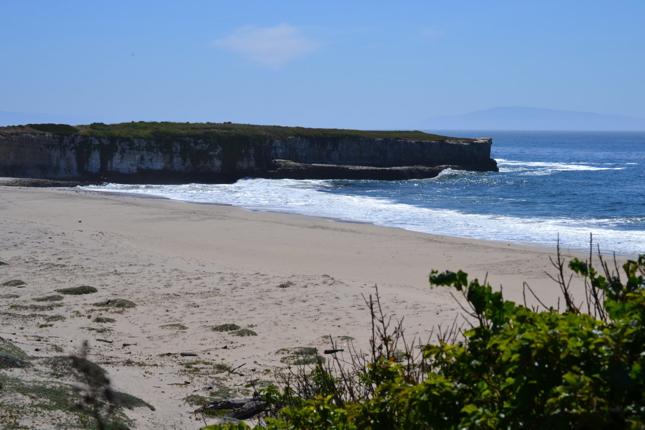 DSC_0020.jpg