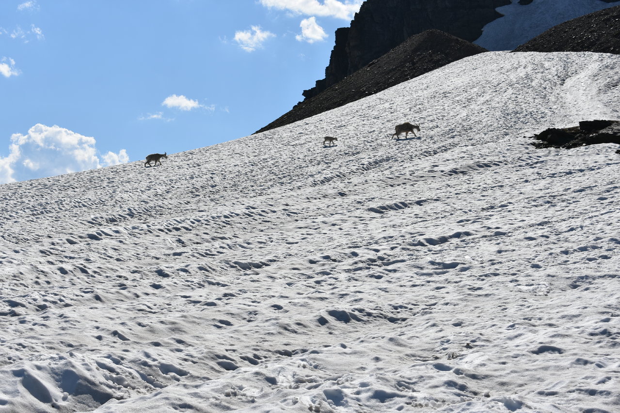 DSC_0021.jpg