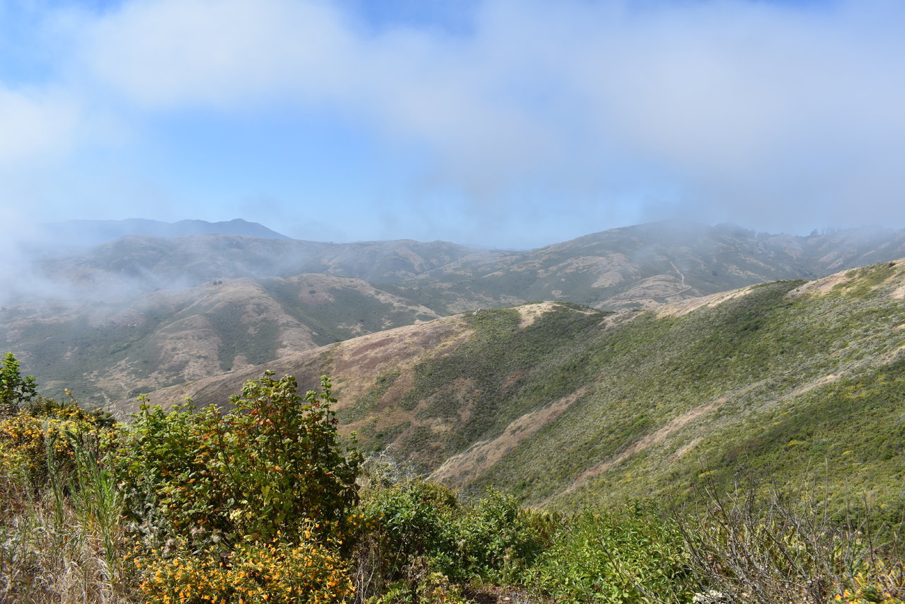DSC_0022.jpg
