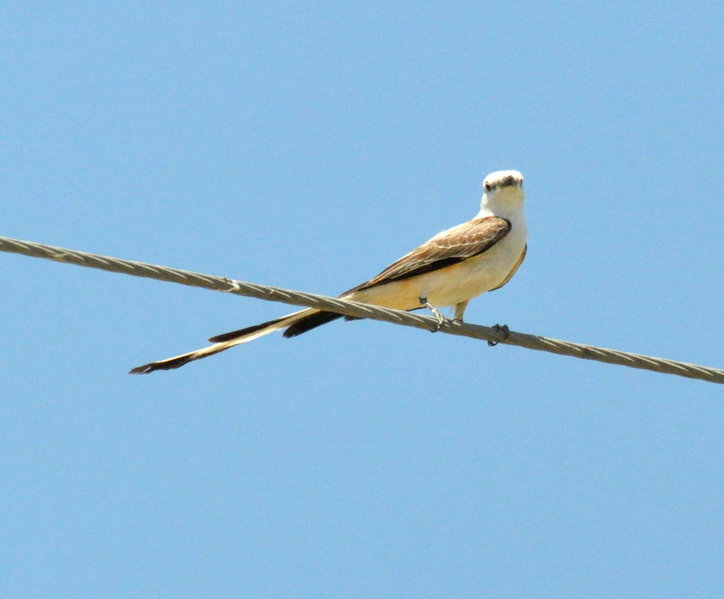 DSC_0022.jpg