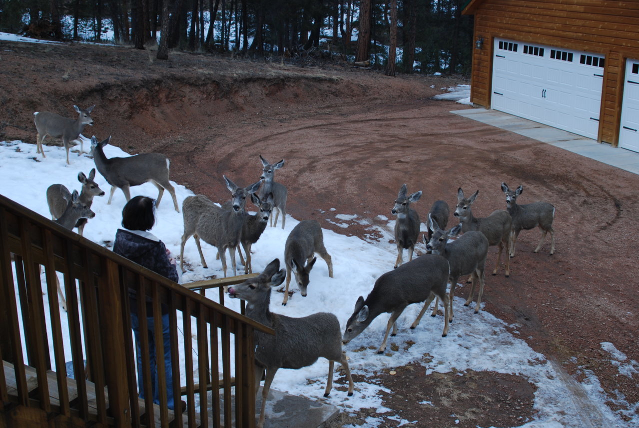 DSC_0022.jpg